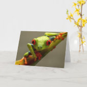 Costa Rica Red-Eyed Tree Kikker die naar je kijkt Kaart (Gele Bloem)