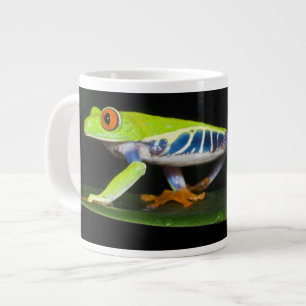 Costa Rica, Roodogige Boomkikker (Agalychnis Grote Koffiekop