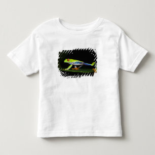 Costa Rica, Roodogige Boomkikker (Agalychnis Kinder Shirts