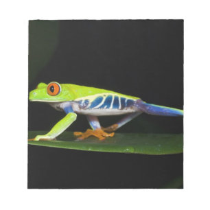 Costa Rica, Roodogige Boomkikker (Agalychnis Notitieblok