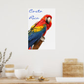 Costa Rica Scarlet Macaw Poster (Keuken)