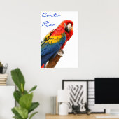 Costa Rica Scarlet Macaw Poster (Thuiskantoor)