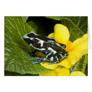 Costa Rica, schiereiland Osa