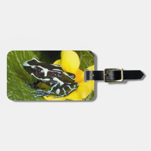 Costa Rica, schiereiland Osa Bagagelabel (Voorkant horizontaal)