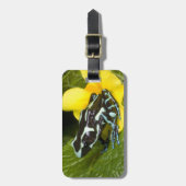 Costa Rica, schiereiland Osa Bagagelabel (Voorkant verticaal)