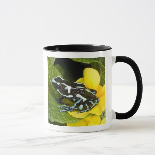 Costa Rica, schiereiland Osa Mok (Rechts)