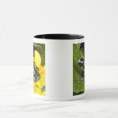 Costa Rica, schiereiland Osa Mok (Midden)