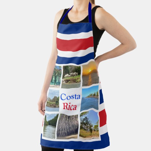 Costa Rica Schort (Insitu)