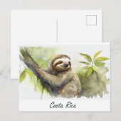 Costa Rica Sloth Briefkaart (Voorkant / Achterkant)