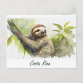 Costa Rica Sloth Briefkaart (Voorkant)