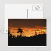 Costa Rica Sunset Briefkaart (Voorkant / Achterkant)