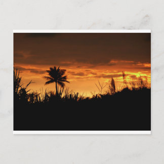 Costa Rica Sunset Briefkaart
