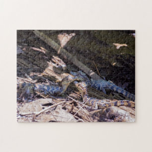 Costa Rica, Tortuguero - Baby krokodillen Legpuzzel