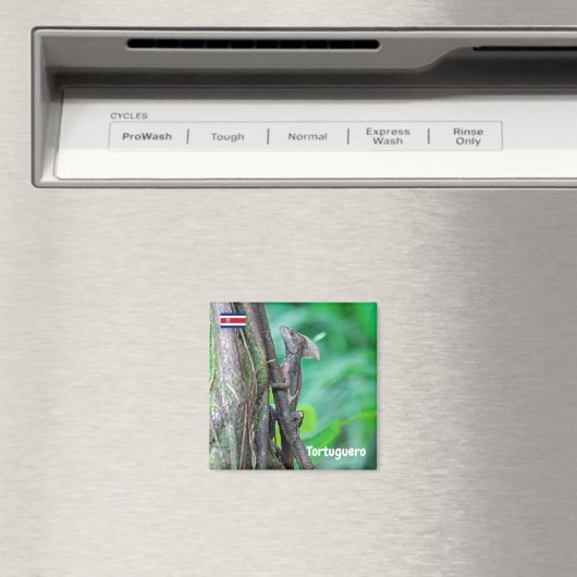 Costa Rica, Tortuguero - Basilisk Lizard Magneet (Insitu (Vaatwasser))