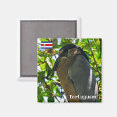 Costa Rica, Tortuguero - Boat-kiezelvis Magneet (Voorkant / Achterkant)