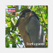 Costa Rica, Tortuguero - Boat-kiezelvis Magneet (Voorkant)