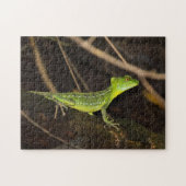 Costa Rica, Tortuguero - Emerald Basilisk Lizard Legpuzzel (Horizontaal)