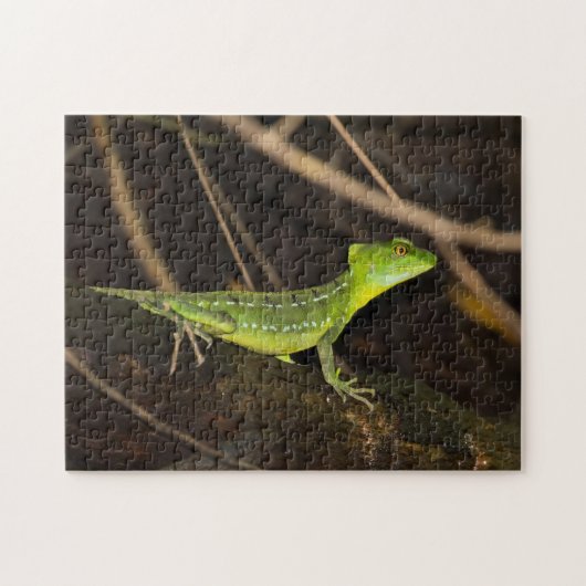 Costa Rica, Tortuguero - Emerald Basilisk Lizard Legpuzzel (Horizontaal)