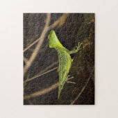 Costa Rica, Tortuguero - Emerald Basilisk Lizard Legpuzzel (Verticaal)