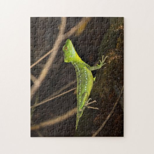 Costa Rica, Tortuguero - Emerald Basilisk Lizard Legpuzzel (Verticaal)