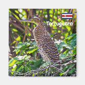 Costa Rica, Tortuguero - Heron Magneet (Voorkant)