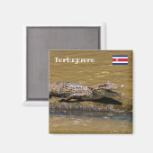 Costa Rica, Tortuguero - Maliderende krokodil Magneet (Voorkant / Achterkant)