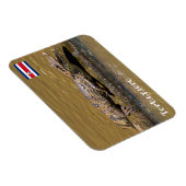 Costa Rica, Tortuguero - Maliderende krokodil Magneet (Rechterzijde)