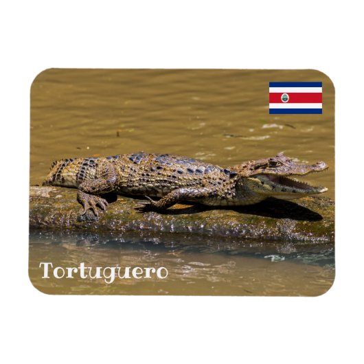 Costa Rica, Tortuguero - Maliderende krokodil Magneet (Horizontaal)