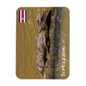 Costa Rica, Tortuguero - Maliderende krokodil Magneet (Verticaal)