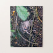 Costa Rica, Tortuguero - Otter etende vis Legpuzzel (Verticaal)