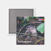 Costa Rica, Tortuguero - Otter etende vis Magneet (Voorkant / Achterkant)