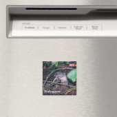 Costa Rica, Tortuguero - Otter etende vis Magneet (Insitu (Vaatwasser))