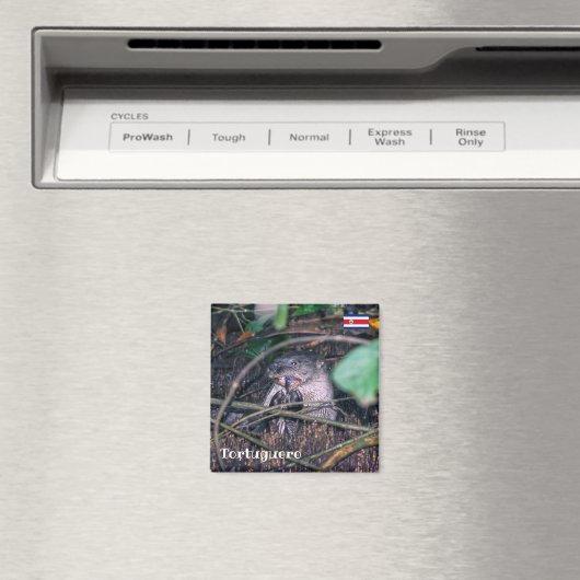 Costa Rica, Tortuguero - Otter etende vis Magneet (Insitu (Vaatwasser))