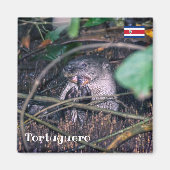 Costa Rica, Tortuguero - Otter etende vis Magneet (Voorkant)