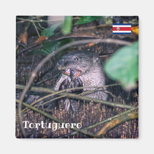 Costa Rica, Tortuguero - Otter etende vis Magneet (Voorkant)