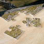 Costa Rica, Tortuguero - Rivier Schildpad Legpuzzel (Zijkant)