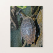 Costa Rica, Tortuguero - Rivier Schildpad Legpuzzel (Verticaal)