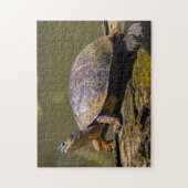 Costa Rica, Tortuguero - Rivierschildpad Legpuzzel (Verticaal)