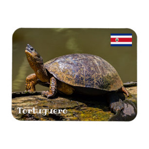 Costa Rica, Tortuguero - Rivierschildpad Magneet