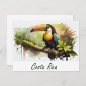 Costa Rica Toucan Briefkaart (Voorkant / Achterkant)
