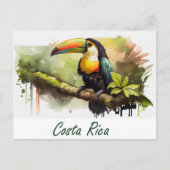 Costa Rica Toucan Briefkaart (Voorkant)
