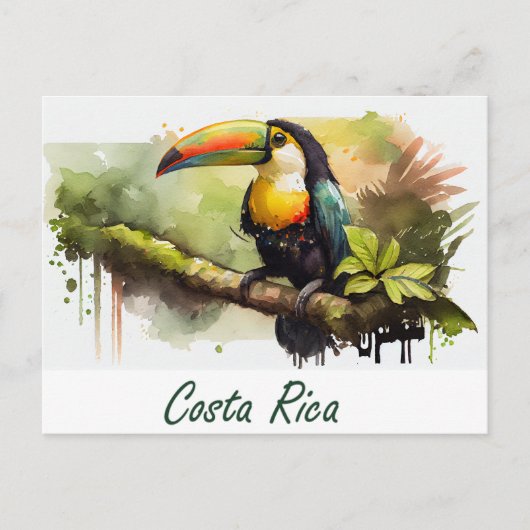 Costa Rica Toucan Briefkaart (Voorkant)