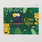 Costa Rica Toucan Briefkaart (Voorkant)
