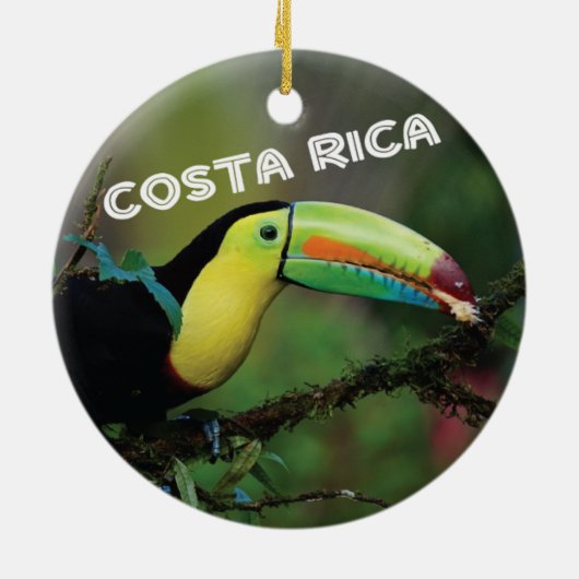 Costa Rica Toucan Keramisch Ornament (Achterkant)