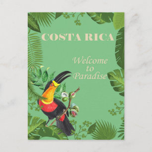Costa Rica  Toucan Revel Briefkaart