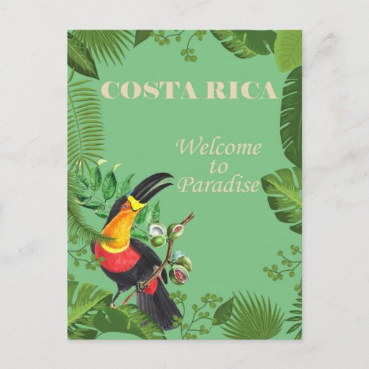 Costa Rica  Toucan Revel Briefkaart (Voorkant)