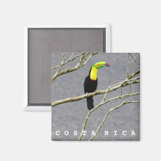 Costa Rica Toucan Souvenir Magnet (Voorkant / Achterkant)