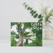 Costa Rica Tree Briefkaart (Staand voorkant)