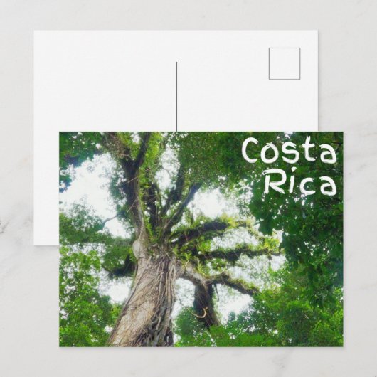 Costa Rica Tree Briefkaart (Voorkant / Achterkant)