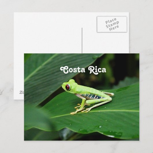 Costa Rica Tree Kikker Briefkaart (Voorkant / Achterkant)